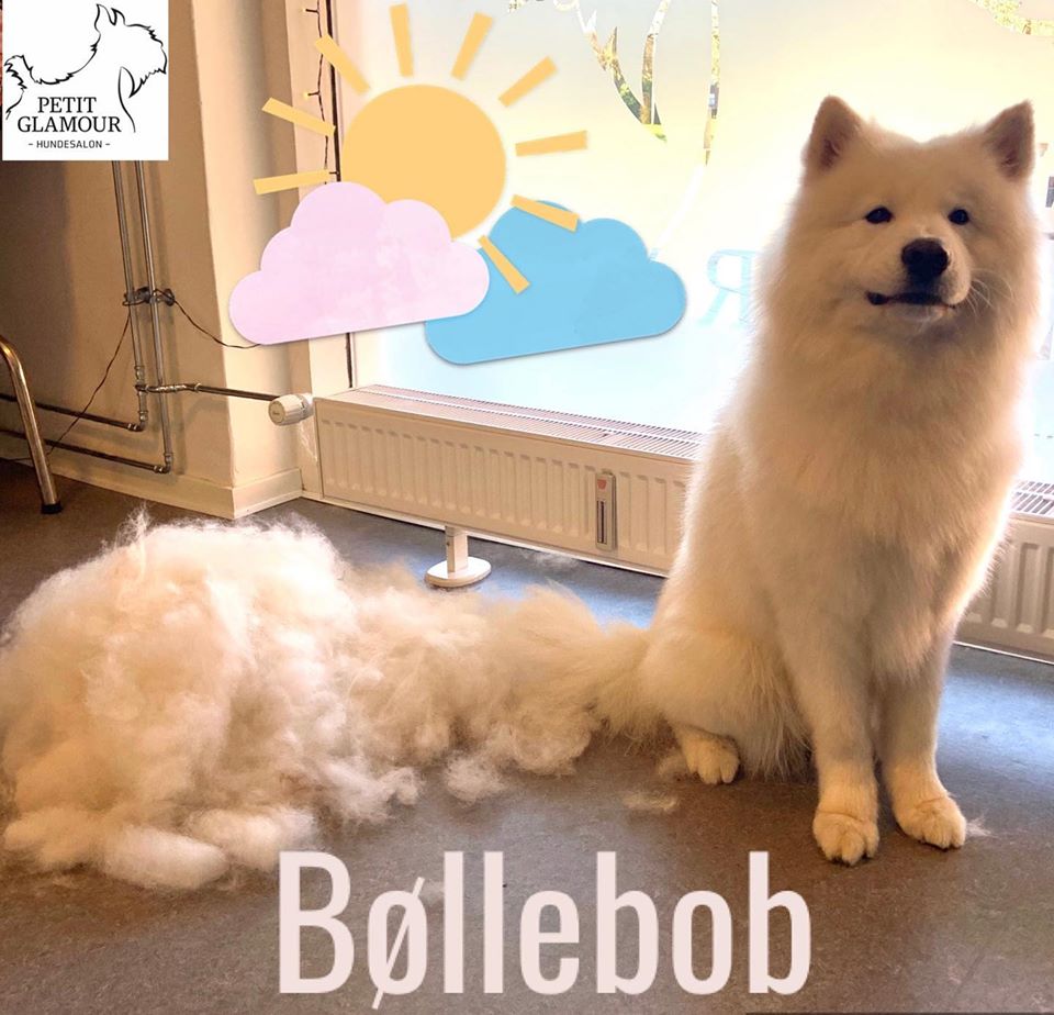 Bøllebob 2